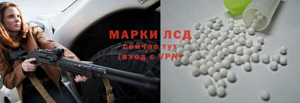 мяу мяу мука Белокуриха